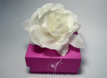 Роза белая «Невеста»