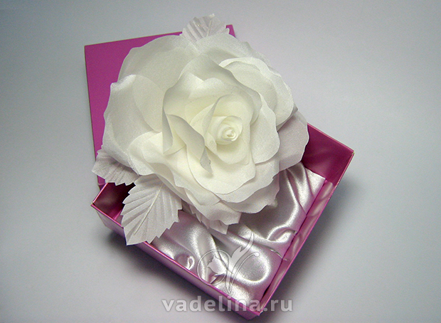 Роза белая «Невеста»