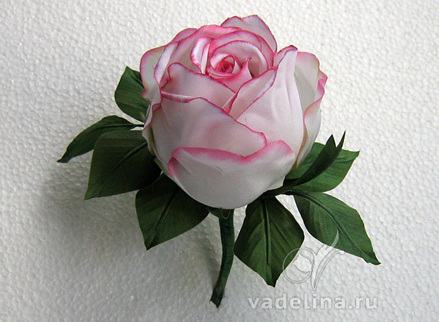 Роза-бутон, бело-розовая